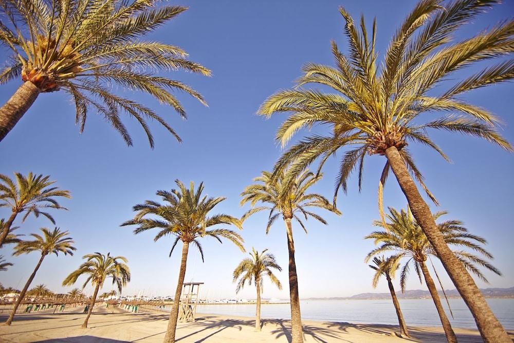 Готель Sahara Nubia Gobi Ses Cadenes Екстер'єр фото Palma de Mallorca