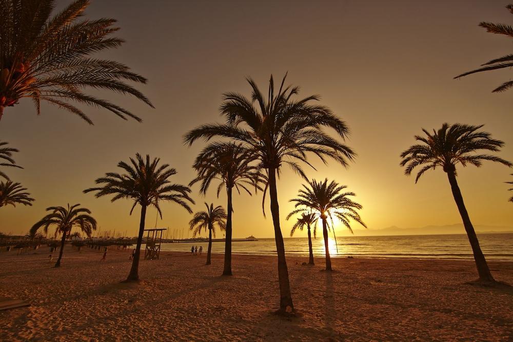 Готель Sahara Nubia Gobi Ses Cadenes Екстер'єр фото Palm trees on the beach at sunset